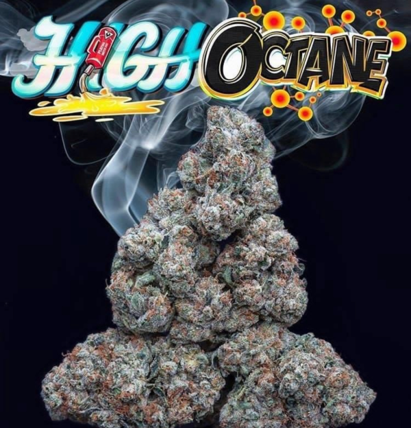 high octane strain