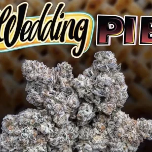 wedding pie strain