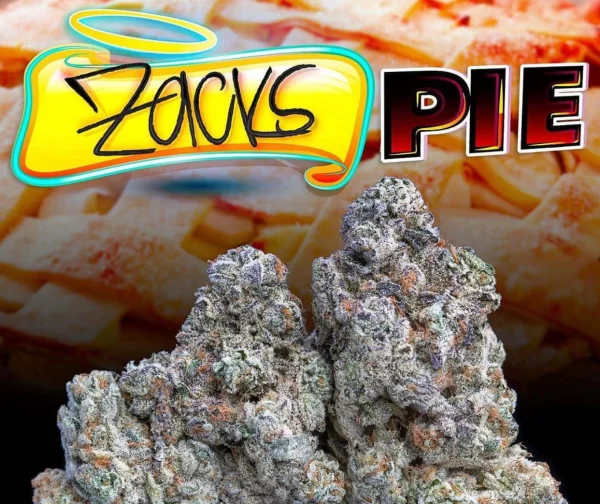 zacks pie strain