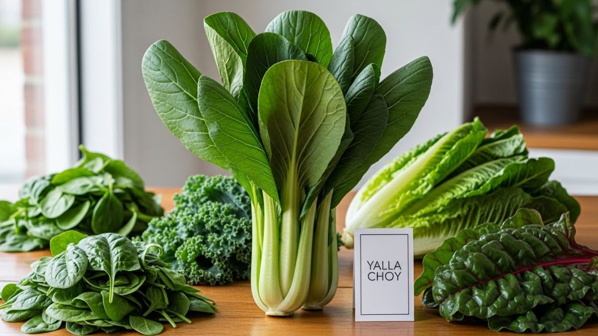 Yalla Choy vs. Other Greens: Why This Leafy Vegetable Stands Out
